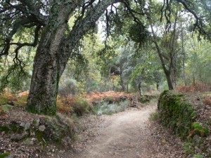 Ruta La Almenara a Caballo