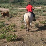 Ruta Peña Alta a caballo