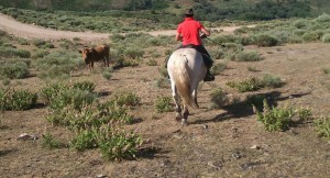 Ruta Peña Alta a caballo
